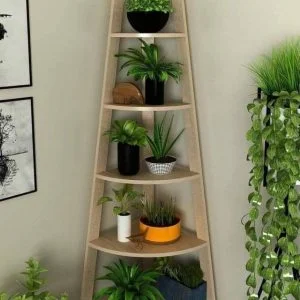 Esquinero para Cactus