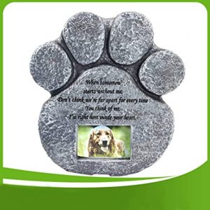 Lápidas para perro El Salvador