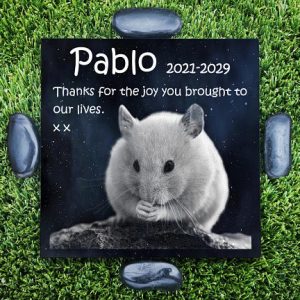 Lápidas El Salvador