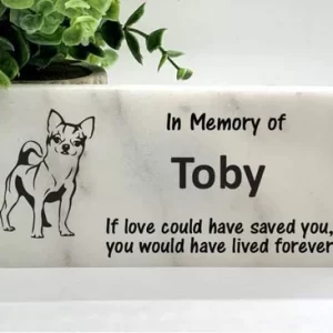 Lápidas El Salvador