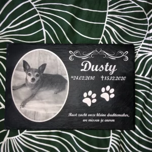 Lápidas para perro El Salvador