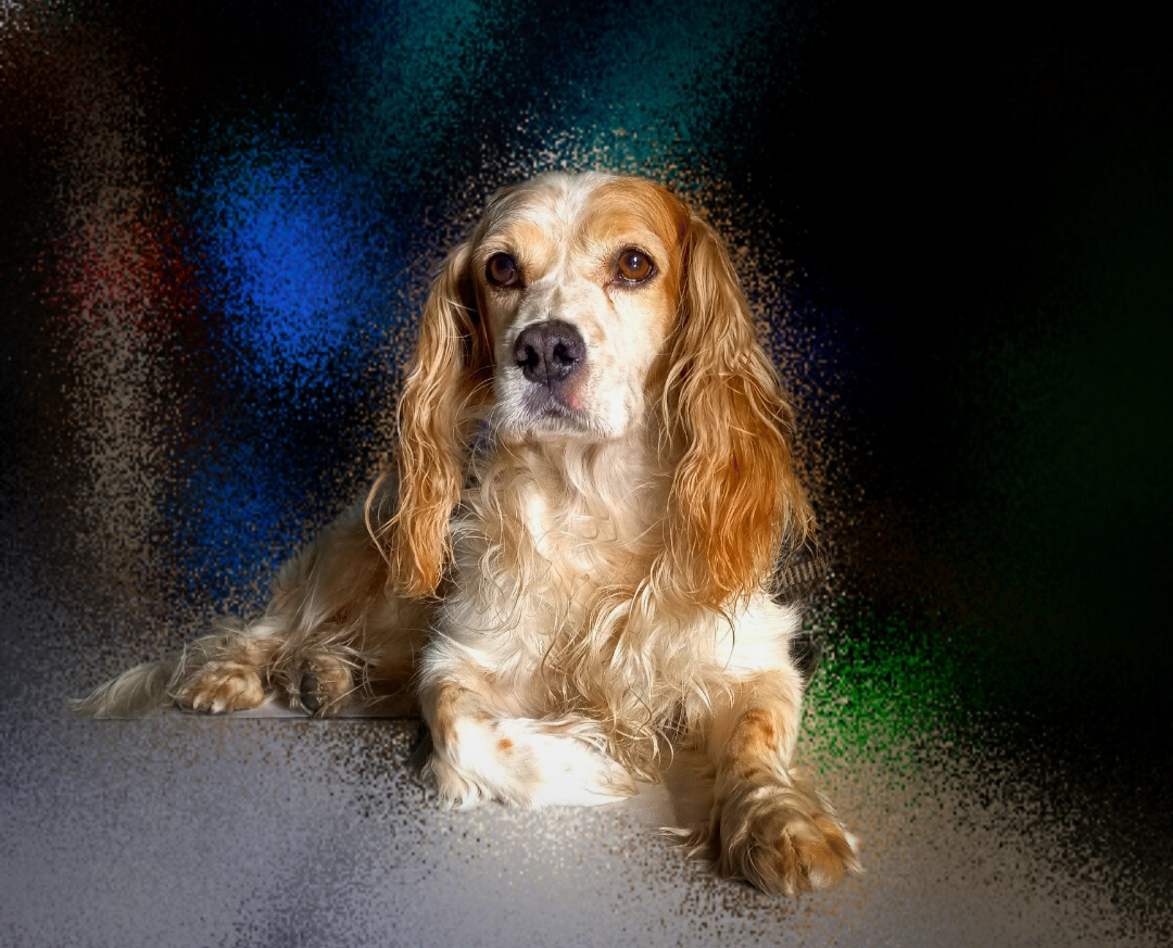 MAMBO YESOMÁRMOL EL SALVADOR